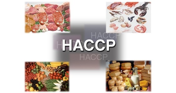 SICUREZZA ALIMENTARE (HACCP)